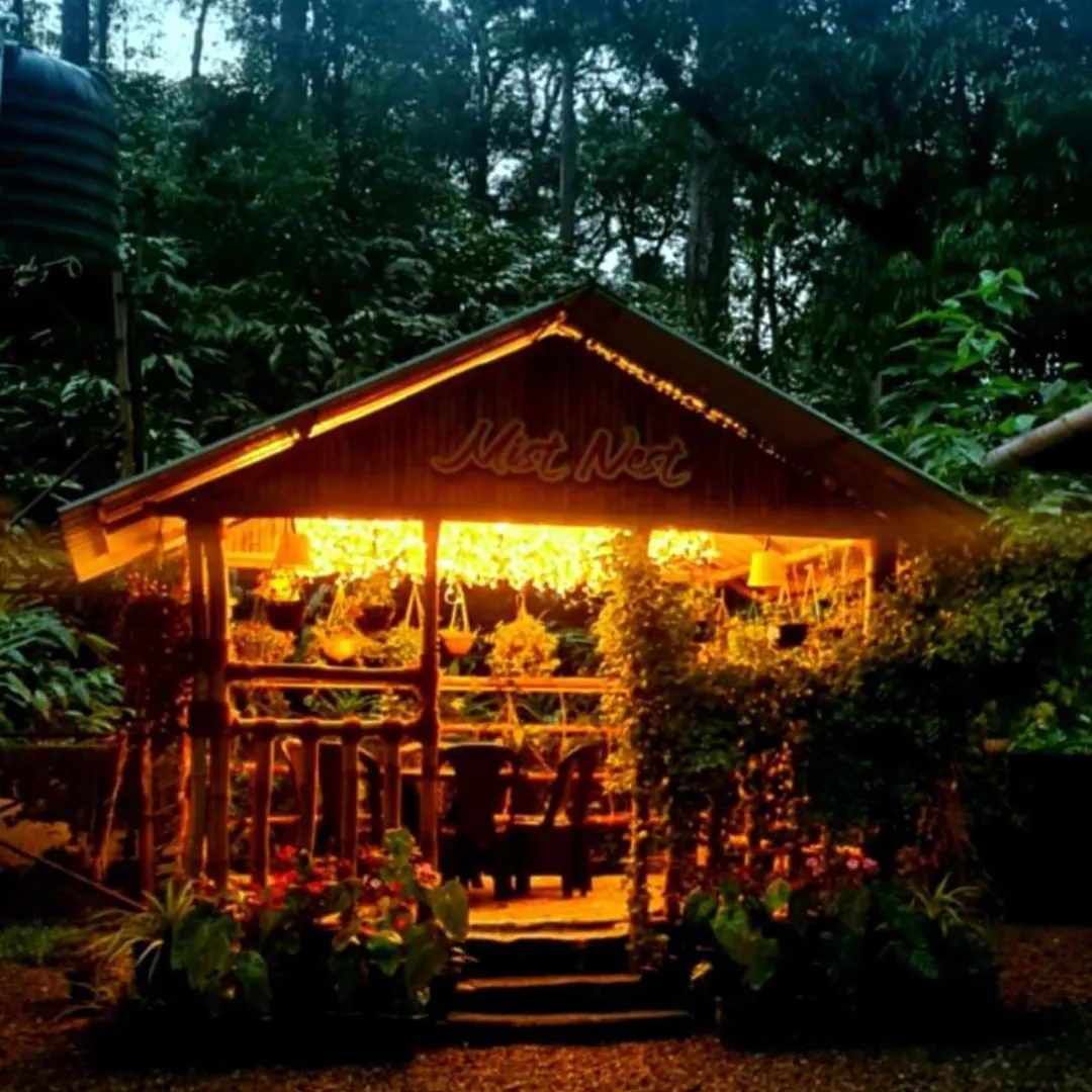 Ferienpark Hotel Mist Nest Munnar Indien