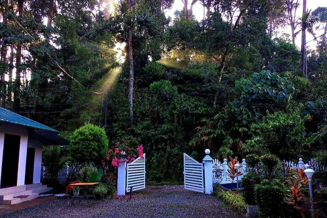Hotel Mist Nest Munnar
